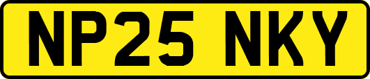 NP25NKY