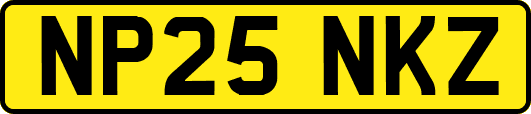 NP25NKZ