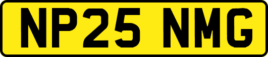 NP25NMG