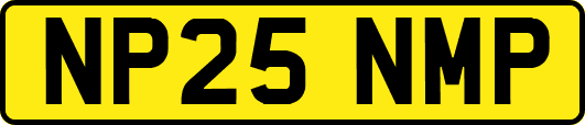 NP25NMP