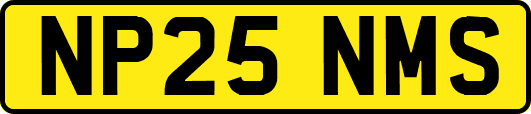 NP25NMS