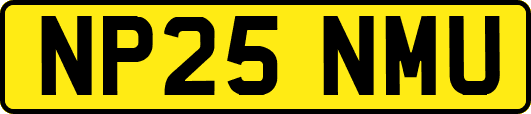 NP25NMU