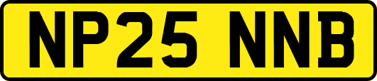 NP25NNB