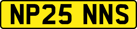 NP25NNS
