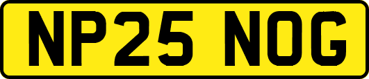 NP25NOG