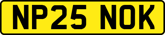 NP25NOK