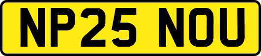 NP25NOU
