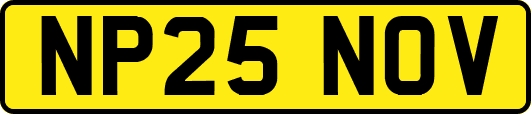 NP25NOV