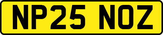 NP25NOZ