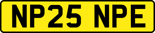 NP25NPE