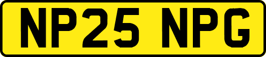 NP25NPG
