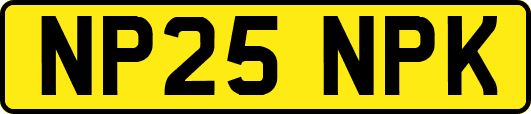 NP25NPK