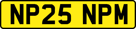 NP25NPM