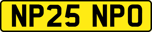 NP25NPO