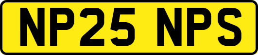 NP25NPS