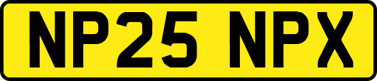 NP25NPX