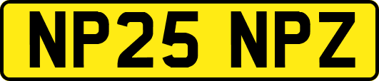 NP25NPZ