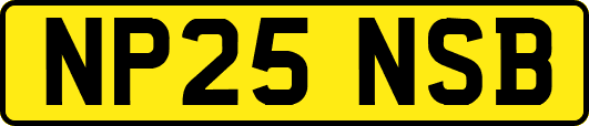 NP25NSB
