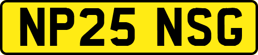NP25NSG
