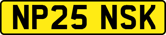 NP25NSK