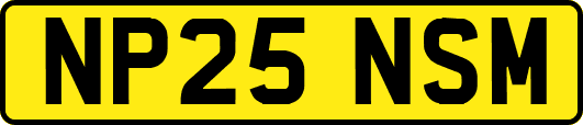 NP25NSM
