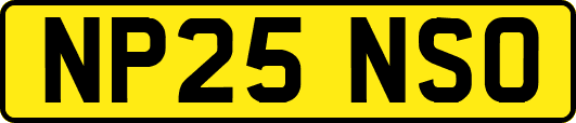 NP25NSO