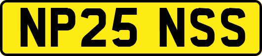 NP25NSS