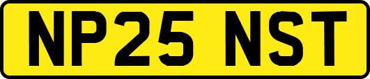 NP25NST