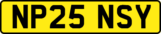 NP25NSY