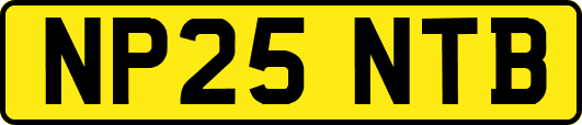 NP25NTB