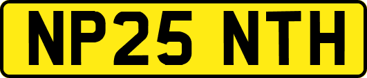 NP25NTH