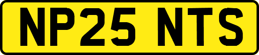 NP25NTS
