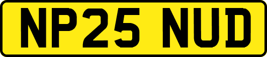 NP25NUD