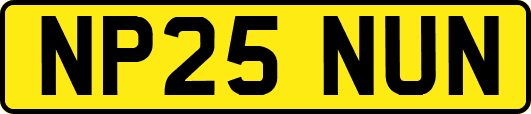 NP25NUN
