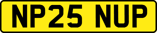 NP25NUP
