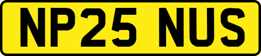 NP25NUS