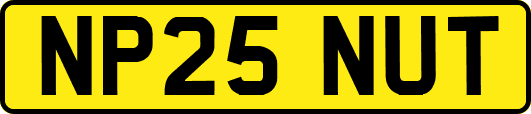 NP25NUT