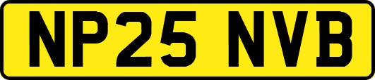 NP25NVB