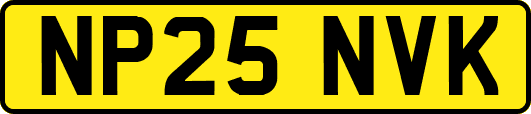 NP25NVK