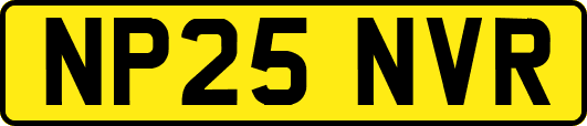 NP25NVR