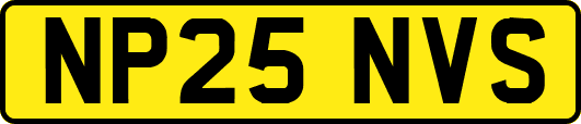 NP25NVS