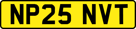 NP25NVT