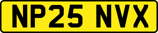 NP25NVX