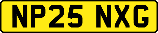 NP25NXG