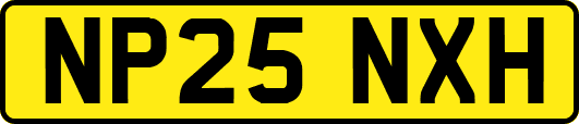NP25NXH