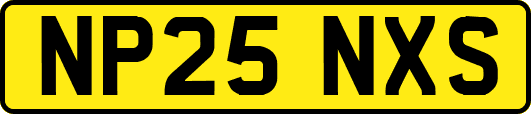 NP25NXS