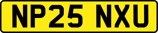 NP25NXU