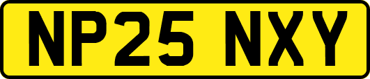 NP25NXY