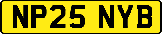 NP25NYB
