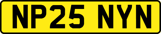NP25NYN